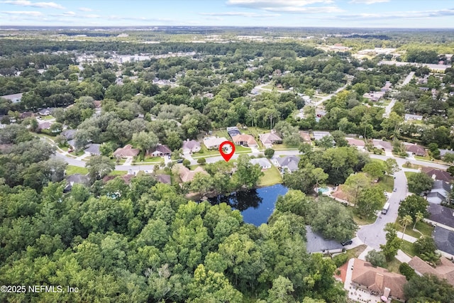 2919 Sans Pareil St, Jacksonville, FL 32246 - photo 36