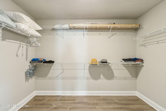 83316 Chapel Ct, Fernandina Beach, FL 32034 - spacious closet featuring wood finished floors