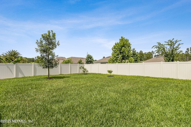 83316 Chapel Ct, Fernandina Beach, FL 32034 - view of yard