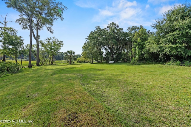 6241 Riviera Manor Dr, Jacksonville, FL 32216 - view of grassy yard