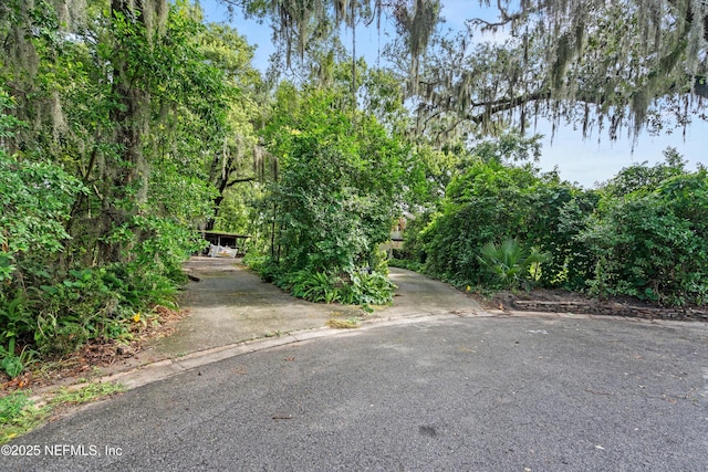 6241 Riviera Manor Dr, Jacksonville, FL 32216 - view of asphalt driveway