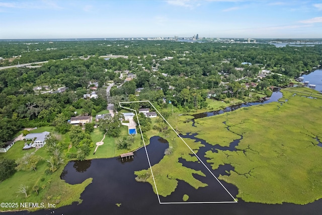 6241 Riviera Manor Dr, Jacksonville, FL 32216 - drone / aerial view of a large body of water