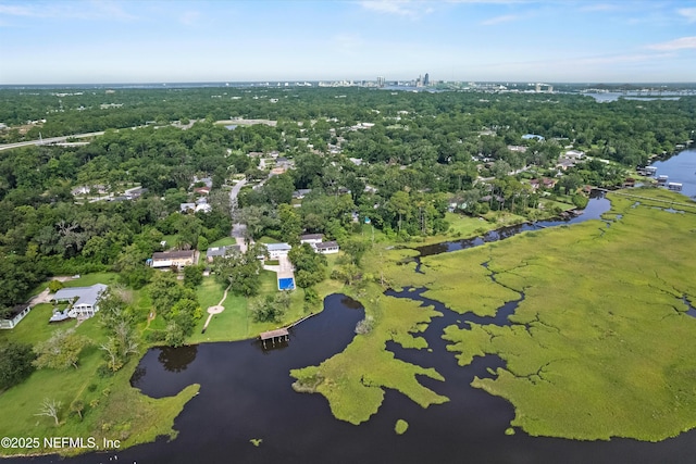 6241 Riviera Manor Dr, Jacksonville, FL 32216 - bird's eye view of a nearby body of water