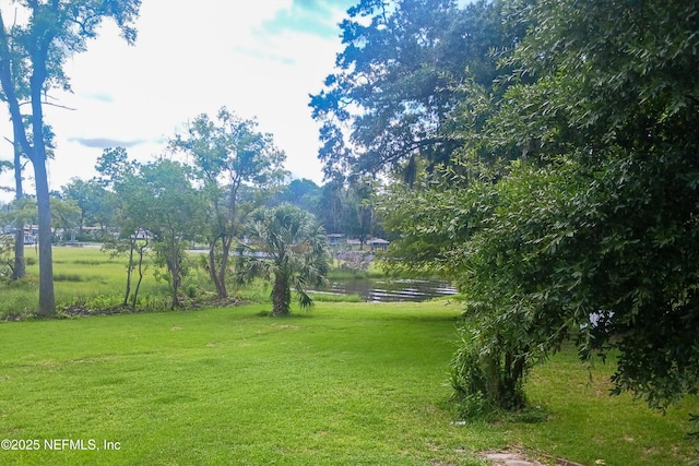 6241 Riviera Manor Dr, Jacksonville, FL 32216 - view of grassy yard with a water view
