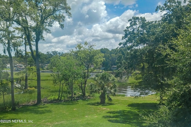 6241 Riviera Manor Dr, Jacksonville, FL 32216 - view of green lawn with a water view