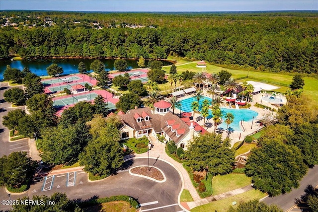 2972 Laurel Springs Dr, Green Cove Springs, FL 32043 - aerial view of a forest and a large body of water