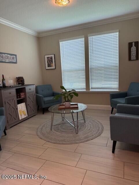 296 Latrobe Ave, Saint Augustine, FL 32095 - living area with ornamental molding and baseboards