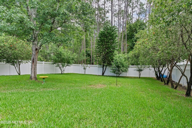 308 Carriage Hill Ct, Saint Johns, FL 32259 - photo 15