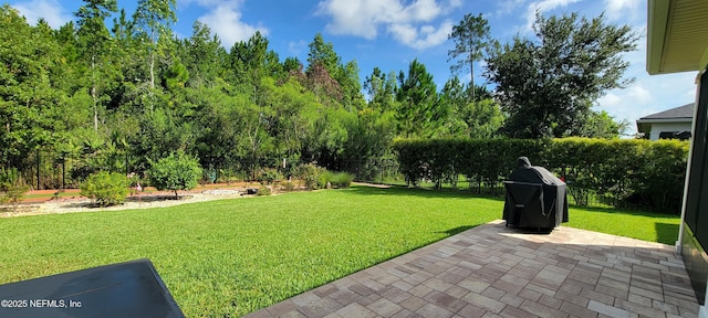 261 Palisade Dr, Saint Augustine, FL 32092 - photo 9