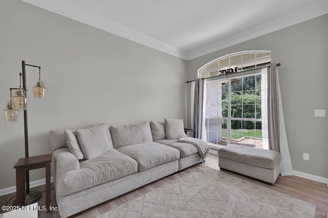 1728 Dartmoor Ln, Ponte Vedra, FL 32081 - living room with crown molding, wood finished floors, and a textured ceiling