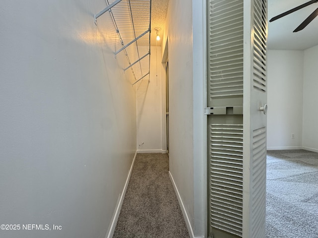 2300 Twelve Oaks Dr Unit A-4, Orange Park, FL 32065 - photo 11