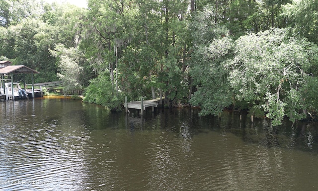293 Lake Asbury Dr, Green Cove Springs, FL 32043 - photo 40
