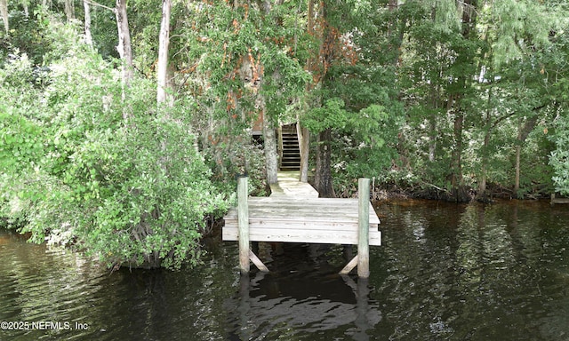 293 Lake Asbury Dr, Green Cove Springs, FL 32043 - photo 41