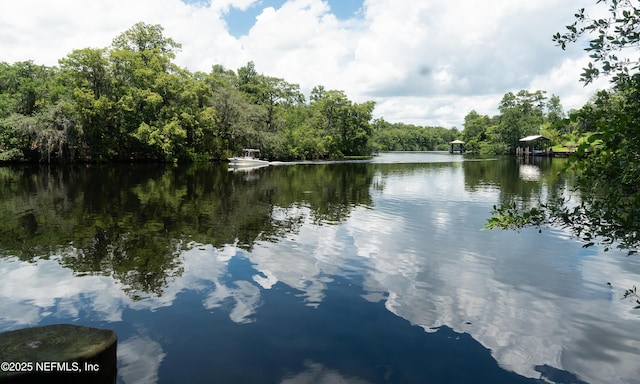 293 Lake Asbury Dr, Green Cove Springs, FL 32043 - photo 1
