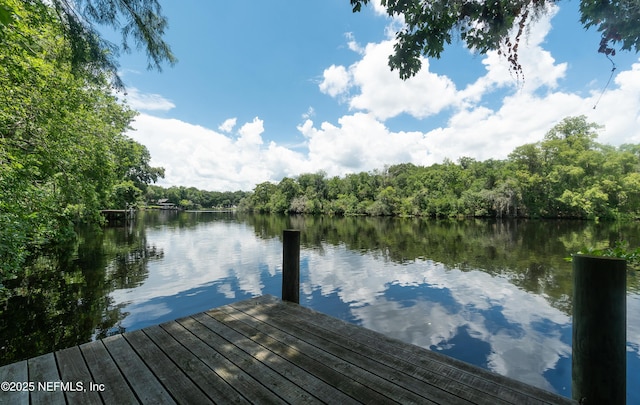 293 Lake Asbury Dr, Green Cove Springs, FL 32043 - photo 42