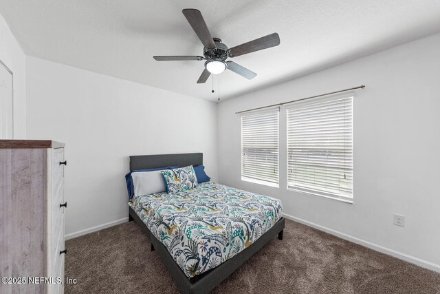 238 Green Palm Ct, Saint Augustine, FL 32086 - photo 17