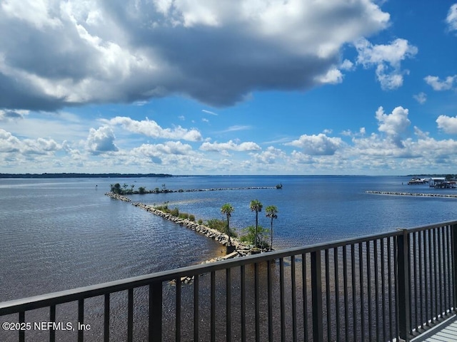 2199 Astor St Unit 403, Orange Park, FL 32073 - photo 3