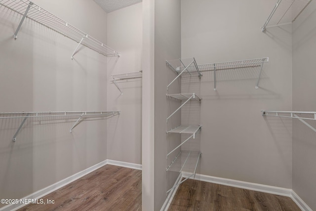 523 Roserush Ln, Jacksonville, FL 32225 - photo 23