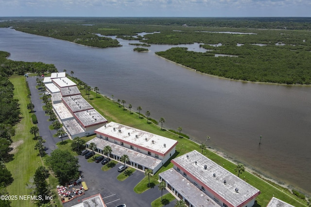 32 Ocean Palm Dr S Unit 320, Flagler Beach, FL 32136 - aerial view of a large body of water and a forest