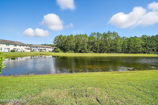 6119 Bartram Village Dr, Jacksonville, FL 32258 - photo 23