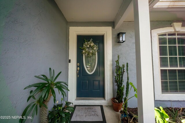 11358 Trotting Horse Ln S, Jacksonville, FL 32225 - photo 6