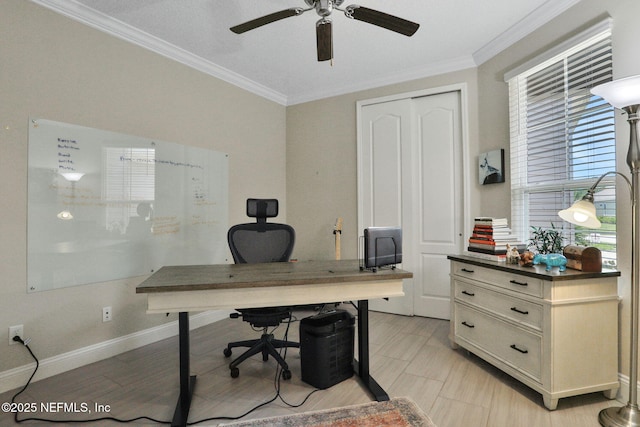 363 Latrobe Ave, Saint Augustine, FL 32095 - office space featuring a ceiling fan and ornamental molding