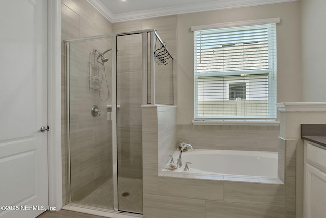 363 Latrobe Ave, Saint Augustine, FL 32095 - bathroom featuring a garden tub, a shower stall, ornamental molding, and vanity