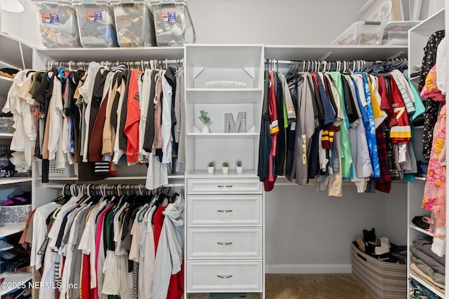 47 Mercutio Ln, Saint Augustine, FL 32092 - spacious closet featuring carpet floors