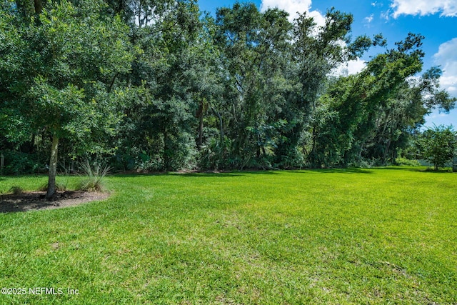 5243 Ostrich Ct, Jacksonville, FL 32226 - photo 54