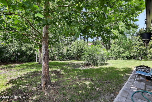 35 Root Ln, Saint Augustine, FL 32084 - view of green lawn featuring an outdoor fire pit
