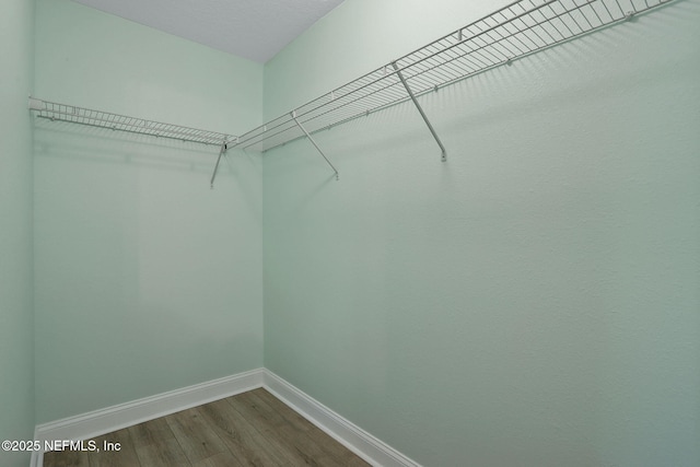 35 Root Ln, Saint Augustine, FL 32084 - spacious closet with dark wood finished floors