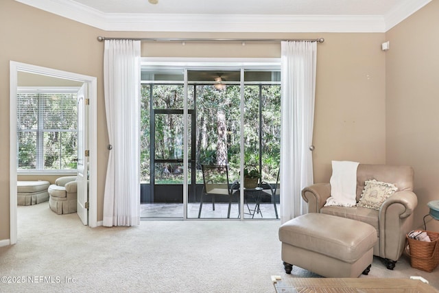 2000 Copper Creek Dr Unit B, Fleming Island, FL 32003 - photo 18