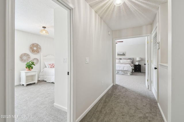 1083 Three Forks Ct, Saint Augustine, FL 32092 - hall featuring carpet and a textured ceiling