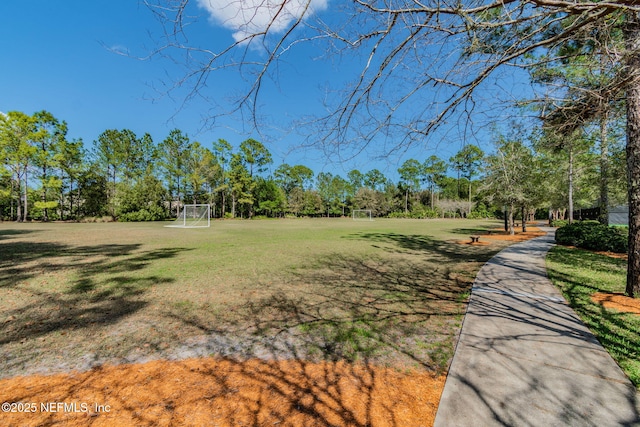 1083 Three Forks Ct, Saint Augustine, FL 32092 - view of yard featuring an area for soccer and view of wooded area