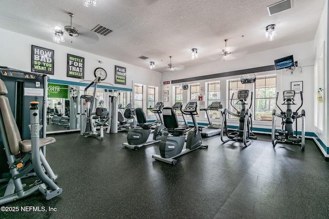 1083 Three Forks Ct, Saint Augustine, FL 32092 - workout area featuring ceiling fan, a textured ceiling, and plenty of natural light