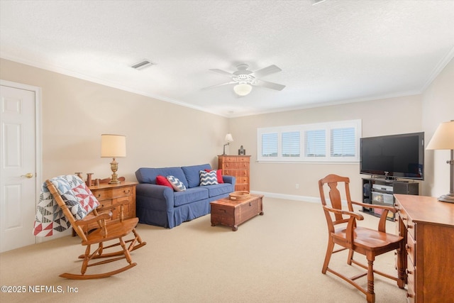 187 Spartina Ave, Saint Augustine, FL 32080 - photo 35
