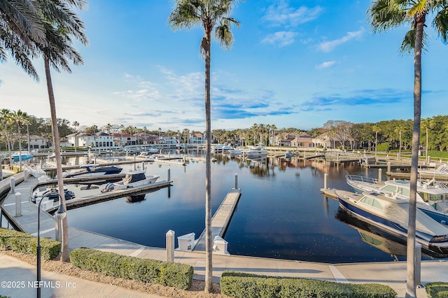 112 Harbourmaster Ct, Ponte Vedra Beach, FL 32082 - dock with a water view