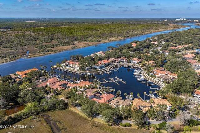 112 Harbourmaster Ct, Ponte Vedra Beach, FL 32082 - aerial view of residential area with a nearby body of water and numerous boat docks