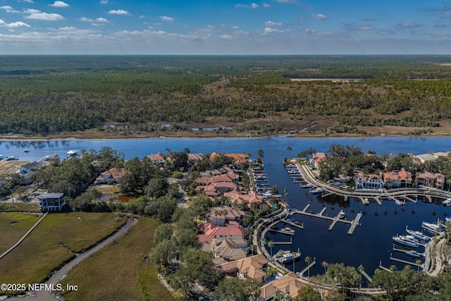 112 Harbourmaster Ct, Ponte Vedra Beach, FL 32082 - aerial view of a heavily wooded area and a large body of water