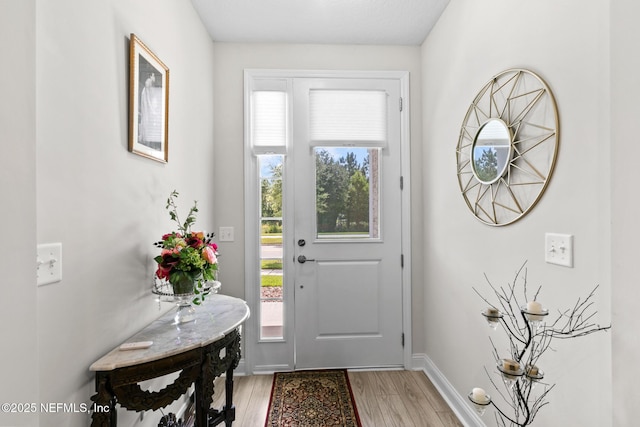 902 Orange Branch Trl, Saint Johns, FL 32259 - doorway featuring light wood-style floors and baseboards