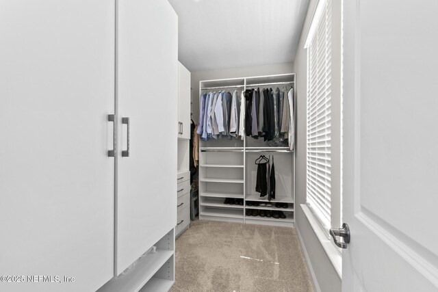 902 Orange Branch Trl, Saint Johns, FL 32259 - spacious closet featuring carpet flooring