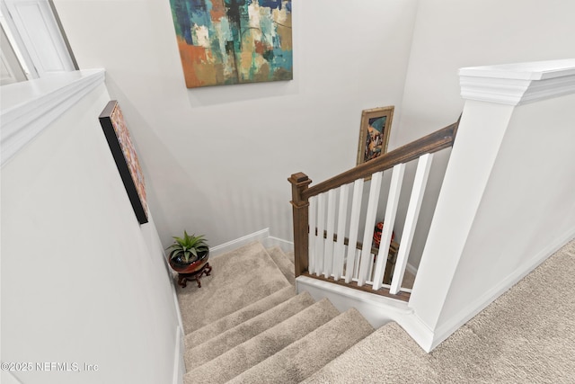 902 Orange Branch Trl, Saint Johns, FL 32259 - stairs featuring carpet floors and baseboards