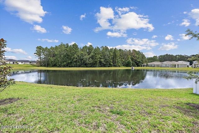 11333 Streamsong Dr, Jacksonville, FL 32221 - photo 26