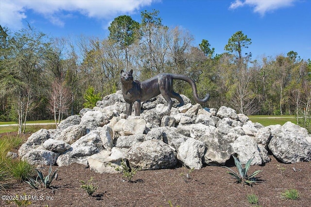 11333 Streamsong Dr, Jacksonville, FL 32221 - photo 31