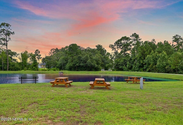 11333 Streamsong Dr, Jacksonville, FL 32221 - photo 38