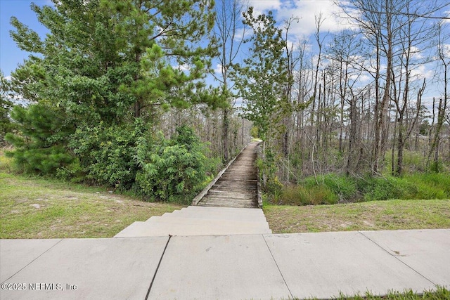 11333 Streamsong Dr, Jacksonville, FL 32221 - photo 40