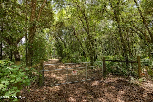 6071 Klare Dr, Keystone Heights, FL 32054 - photo 1
