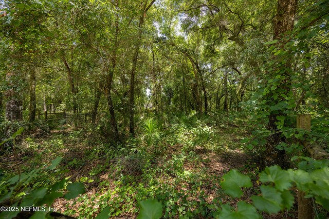 6071 Klare Dr, Keystone Heights, FL 32054 - photo 3
