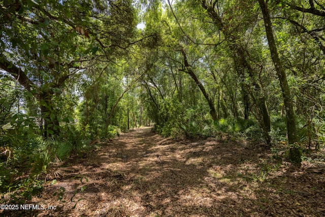 6071 Klare Dr, Keystone Heights, FL 32054 - photo 4