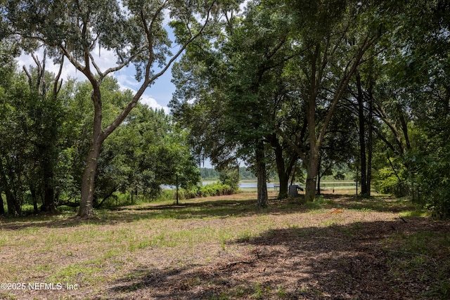 6071 Klare Dr, Keystone Heights, FL 32054 - photo 7